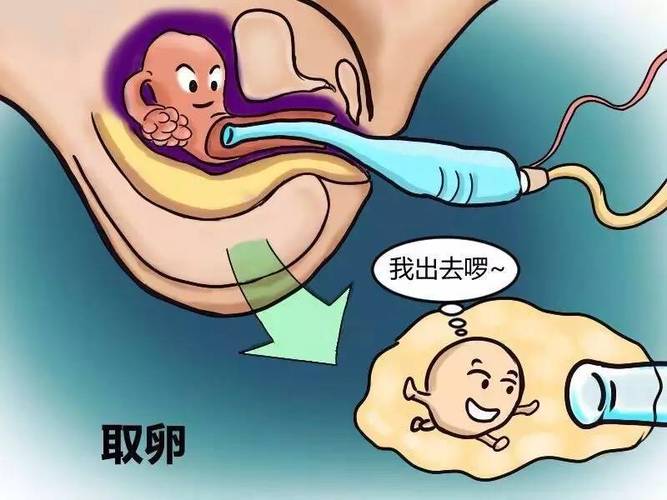 供卵代怀宝宝为什么吐